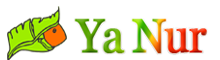 Awesome Logo